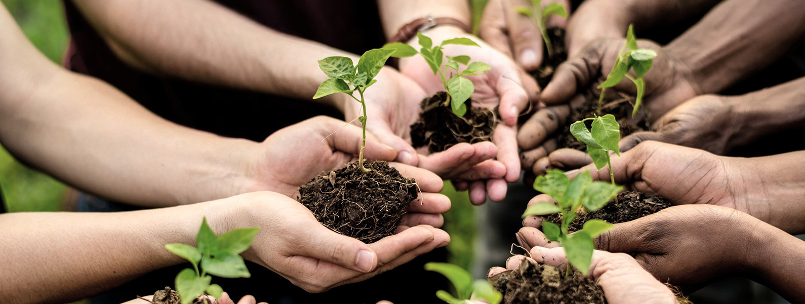 Toplumsal Sorumluluk